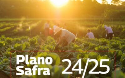 Plano Safra 24/25 – Reabertura do protocolo de pedidos de financiamento