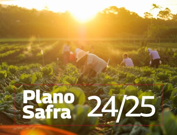 Plano Safra 24/25 – Reabertura do protocolo de pedidos de financiamento